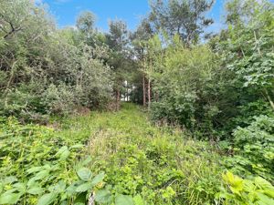 Rear Aspect- click for photo gallery